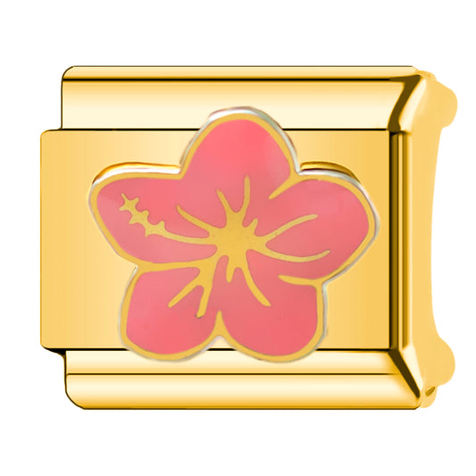 vaïana charms
